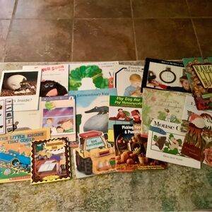 Beginning Classroom Library